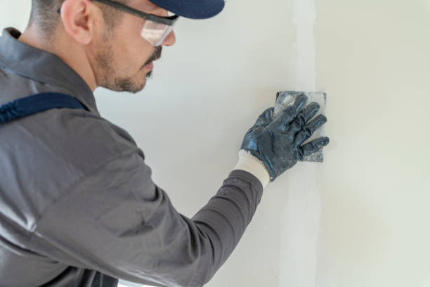 Best Mold Odor Removal Services  in Poteet, TX